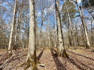 +/- 1,646 acre hardwood timber river bottom hunting tract in - photo 12