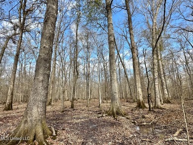 +/- 1,646 acre hardwood timber river bottom hunting tract in - photo 15
