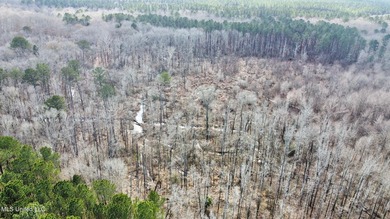 +/- 1,646 acre hardwood timber river bottom hunting tract in - photo 16
