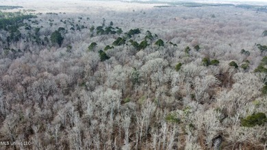 +/- 1,646 acre hardwood timber river bottom hunting tract in - photo 17