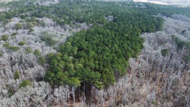 +/- 1,646 acre hardwood timber river bottom hunting tract in - photo 18