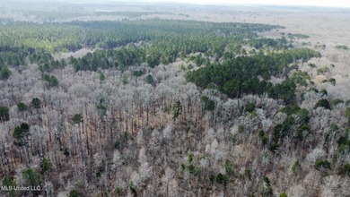 +/- 1,646 acre hardwood timber river bottom hunting tract in - photo 19