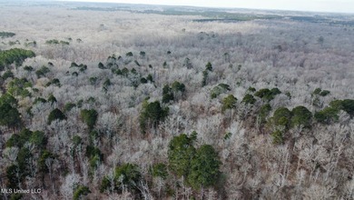 +/- 1,646 acre hardwood timber river bottom hunting tract in - photo 20