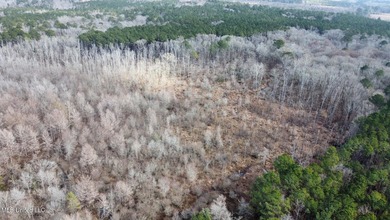 +/- 1,646 acre hardwood timber river bottom hunting tract in - photo 21