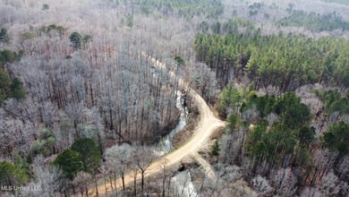 +/- 1,646 acre hardwood timber river bottom hunting tract in - photo 23