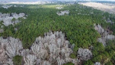 +/- 1,646 acre hardwood timber river bottom hunting tract in - photo 24