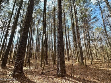 +/- 1,646 acre hardwood timber river bottom hunting tract in - photo 25