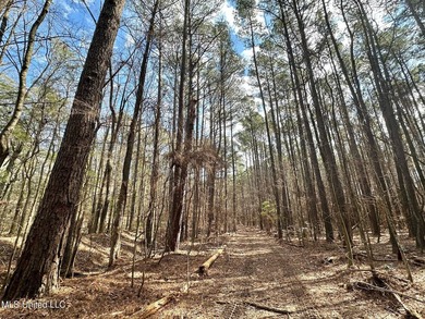 +/- 1,646 acre hardwood timber river bottom hunting tract in - photo 26