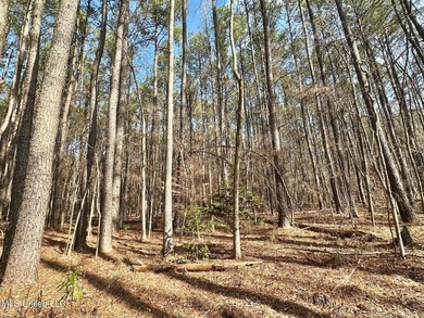 +/- 1,646 acre hardwood timber river bottom hunting tract in - photo 27