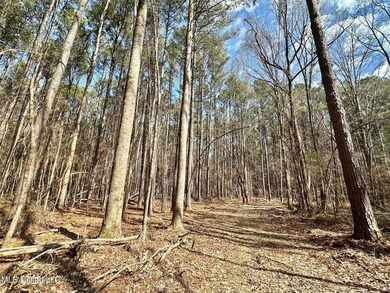 +/- 1,646 acre hardwood timber river bottom hunting tract in - photo 28