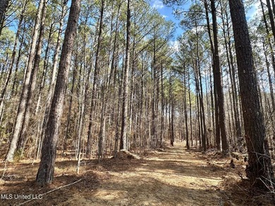 +/- 1,646 acre hardwood timber river bottom hunting tract in - photo 31