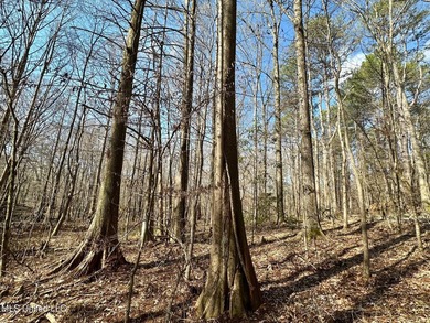 +/- 1,646 acre hardwood timber river bottom hunting tract in - photo 32