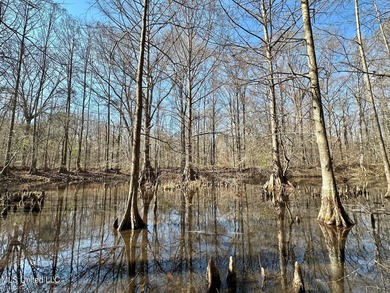 +/- 1,646 acre hardwood timber river bottom hunting tract in - photo 33