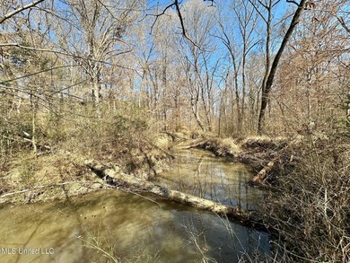 +/- 1,646 acre hardwood timber river bottom hunting tract in - photo 34
