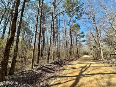 +/- 1,646 acre hardwood timber river bottom hunting tract in - photo 35