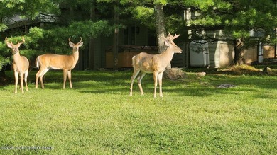*** Active with contract backup offers only *** PRICE - photo 36