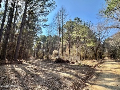 +/- 1,646 acre hardwood timber river bottom hunting tract in - photo 37
