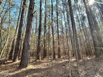 +/- 1,646 acre hardwood timber river bottom hunting tract in - photo 38