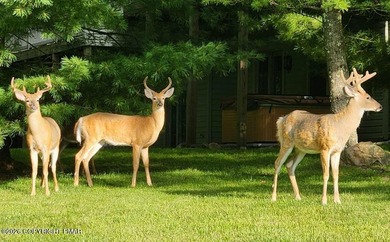 *** Active with contract backup offers only *** PRICE - photo 38