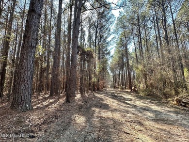 +/- 1,646 acre hardwood timber river bottom hunting tract in - photo 39