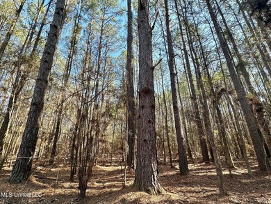 +/- 1,646 acre hardwood timber river bottom hunting tract in - photo 40