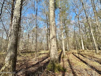 +/- 1,646 acre hardwood timber river bottom hunting tract in - photo 41