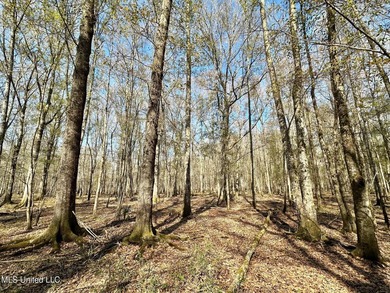 +/- 1,646 acre hardwood timber river bottom hunting tract in - photo 42