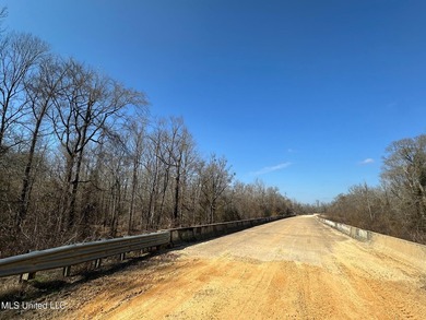+/- 1,646 acre hardwood timber river bottom hunting tract in - photo 43