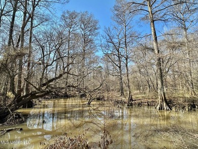 +/- 1,646 acre hardwood timber river bottom hunting tract in - photo 45