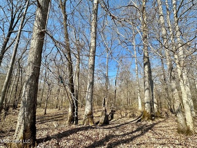 +/- 1,646 acre hardwood timber river bottom hunting tract in - photo 48
