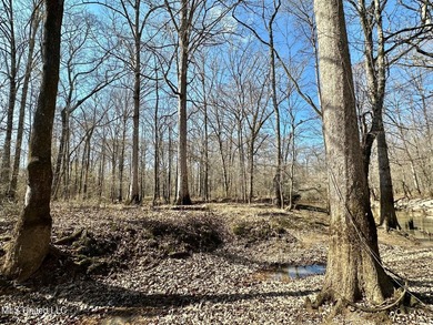 +/- 1,646 acre hardwood timber river bottom hunting tract in - photo 49