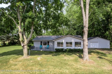 Lake Home For Sale in Crystal, Michigan