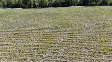 Lake Lot For Sale in Jamestown, Kentucky