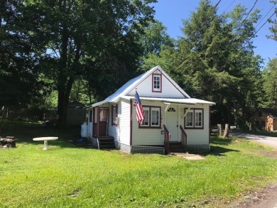 Silver Lake - Delaware County Home For Sale in Deposit New York
