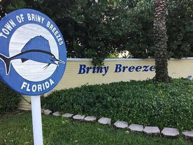 Oceanfront Living in Briny Breezes! Embrace the ultimate - photo 13