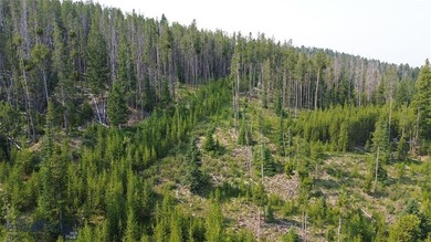 Conveniently located between the lake and the ski area; Enjoy - photo 29