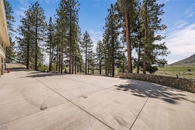 Stunning Mountain Retreat at the Base of the Tahoe National - photo 46