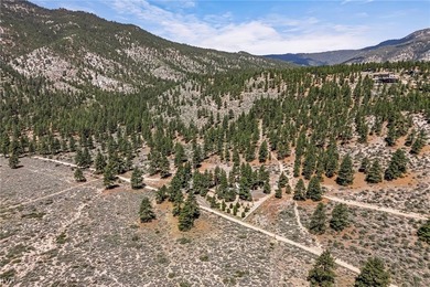 Stunning Mountain Retreat at the Base of the Tahoe National - photo 48