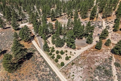 Stunning Mountain Retreat at the Base of the Tahoe National - photo 49