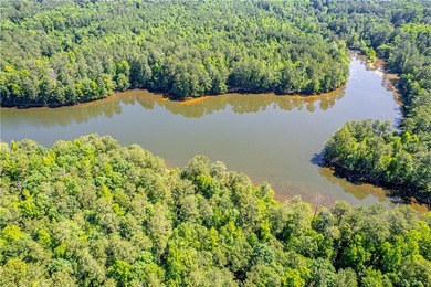 Rare opportunity to purchase 285.44 acres in Rockdale County - photo 10