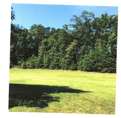 17.837 acres of vacant land - photo 5
