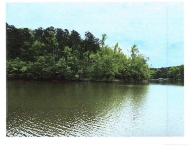 17.837 acres of vacant land - photo 8