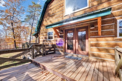 HUGE OUTBUILDING TO STORE LAKE TOYS-OR PARTY PAVILLION - photo 19