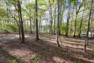 Lake Gerald Properties Online Auction - Tract 2 This Online - photo 7