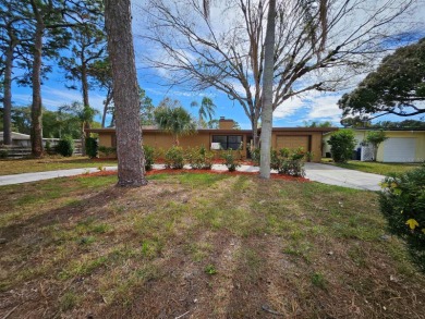 (private lake, pond, creek) Home For Sale in Palm Harbor Florida