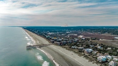 Pawleys Pavilion is located in the heart of Litchfield Mainland - photo 28
