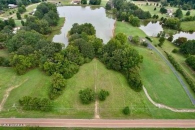 Lake Acreage Sale Pending in Hernando, Mississippi