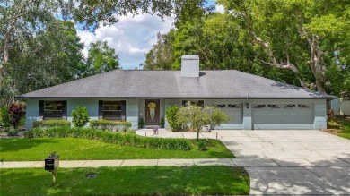Lake Home For Sale in Tampa, Florida