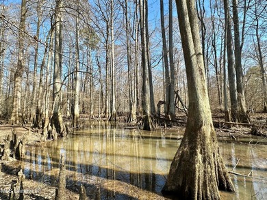 +/- 625 acre hardwood timber river bottom hunting tract in - photo 12
