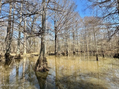 +/- 625 acre hardwood timber river bottom hunting tract in - photo 13